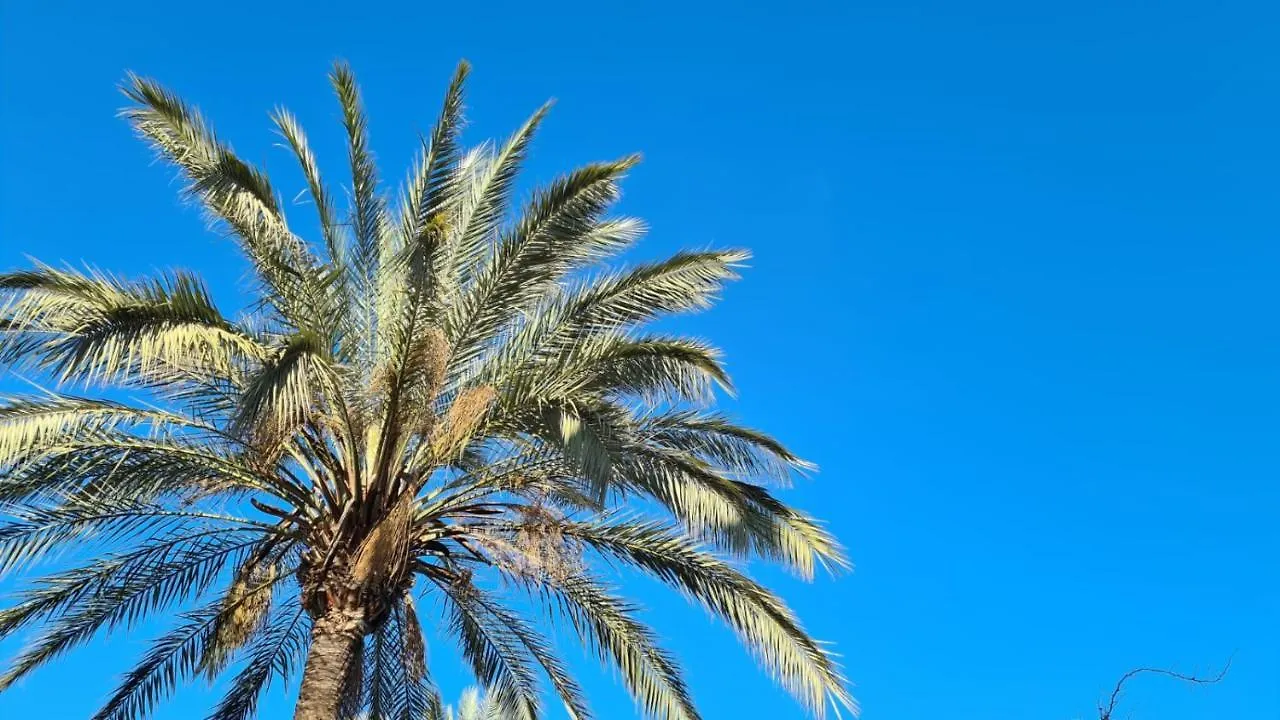 Ellies Hus Villa Malaga Spain